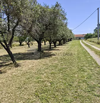 Foto annuncio 22
