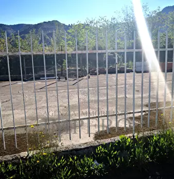Foto annuncio 6