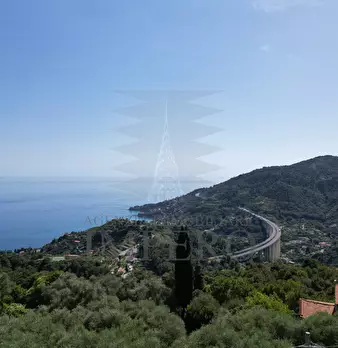 Foto annuncio 46