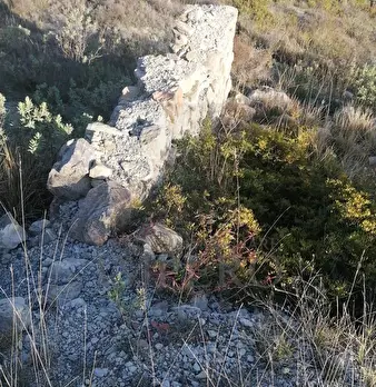 Foto annuncio 22