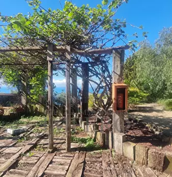Foto annuncio 32