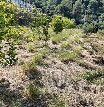 Foto annuncio 21