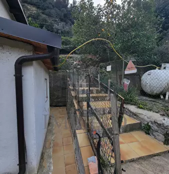 Foto annuncio 5