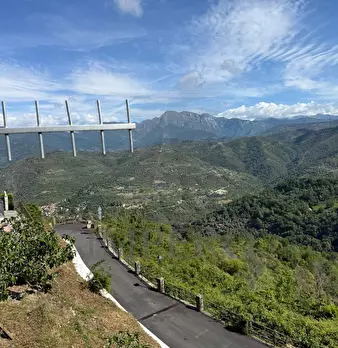 Foto annuncio 25