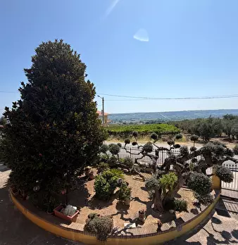 Foto annuncio 23