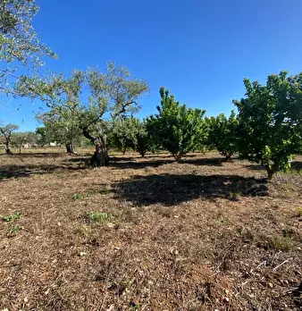 Foto annuncio 5