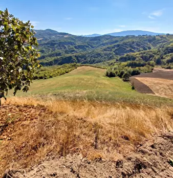 Foto annuncio 18