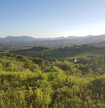 Foto annuncio 12