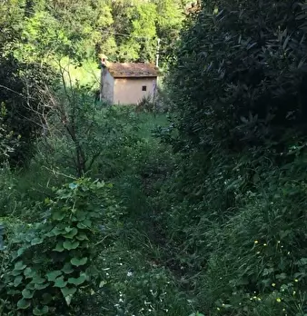 Foto annuncio 1