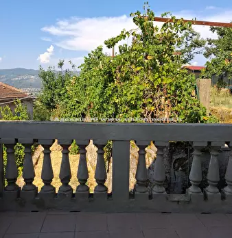 Foto annuncio 18