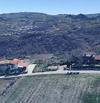Foto annuncio 25