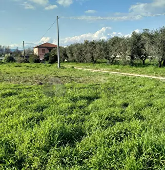 Foto annuncio 8