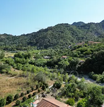 Foto annuncio 32