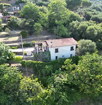 Foto annuncio 19