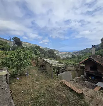 Foto annuncio 21