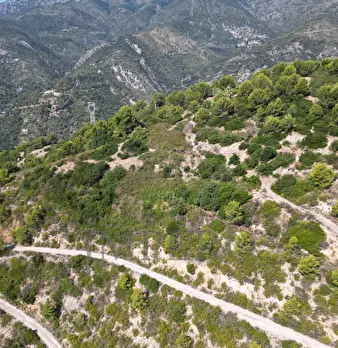 Foto annuncio 24