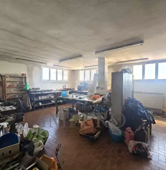 Foto annuncio 71