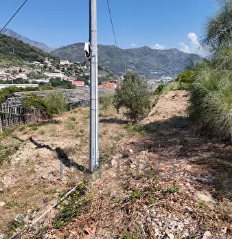 Foto annuncio 27