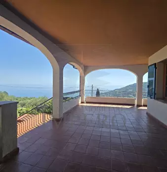 Foto annuncio 24