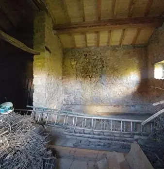 Foto annuncio 34