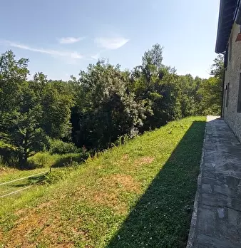 Foto annuncio 31