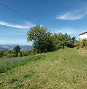 Foto annuncio 44
