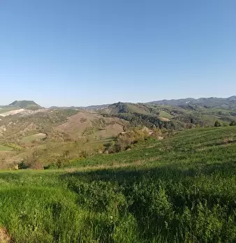 Foto annuncio 3