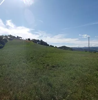Foto annuncio 43