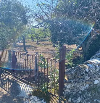 Foto annuncio 7