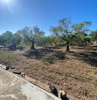 Foto annuncio 3