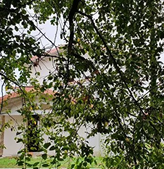 Foto annuncio 1