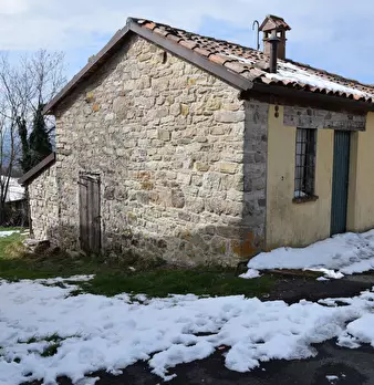 Foto annuncio 1