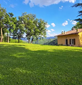 Foto annuncio 5