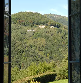 Foto annuncio 51