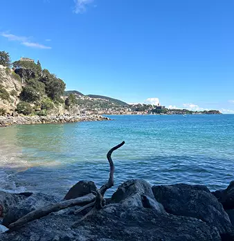 Foto annuncio 28