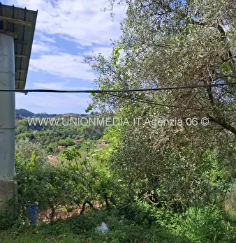 Foto annuncio 7