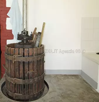 Foto annuncio 7