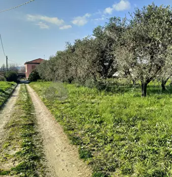 Foto annuncio 1