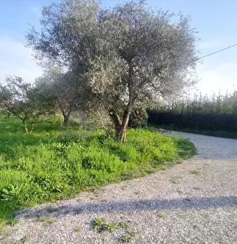 Foto annuncio 6