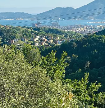 Foto annuncio 8