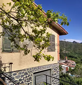 Foto annuncio 20