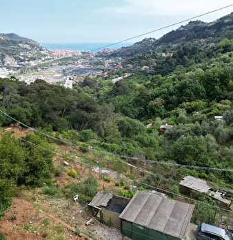 Foto annuncio 49