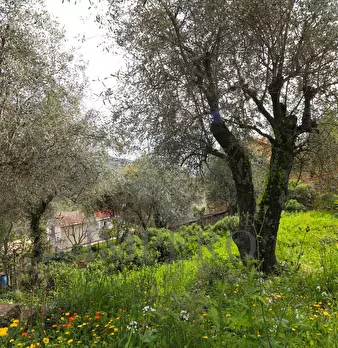 Foto annuncio 41