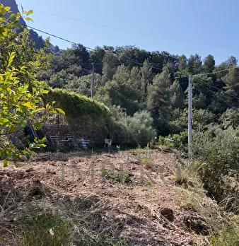 Foto annuncio 15