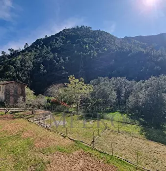 Foto annuncio 16