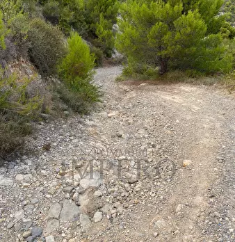 Foto annuncio 18