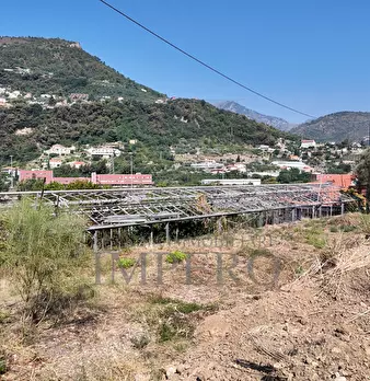 Foto annuncio 12
