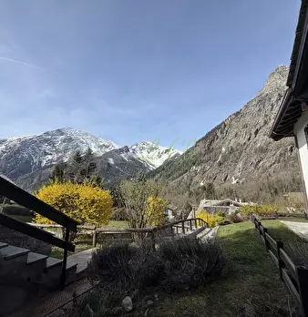 Foto annuncio 10