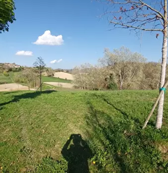 Foto annuncio 43