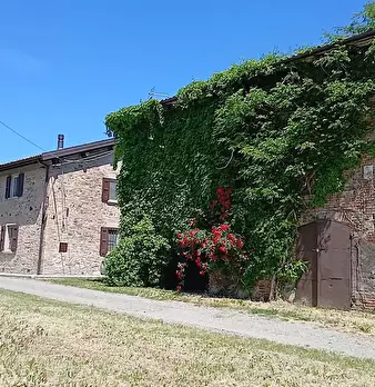 Foto annuncio 47